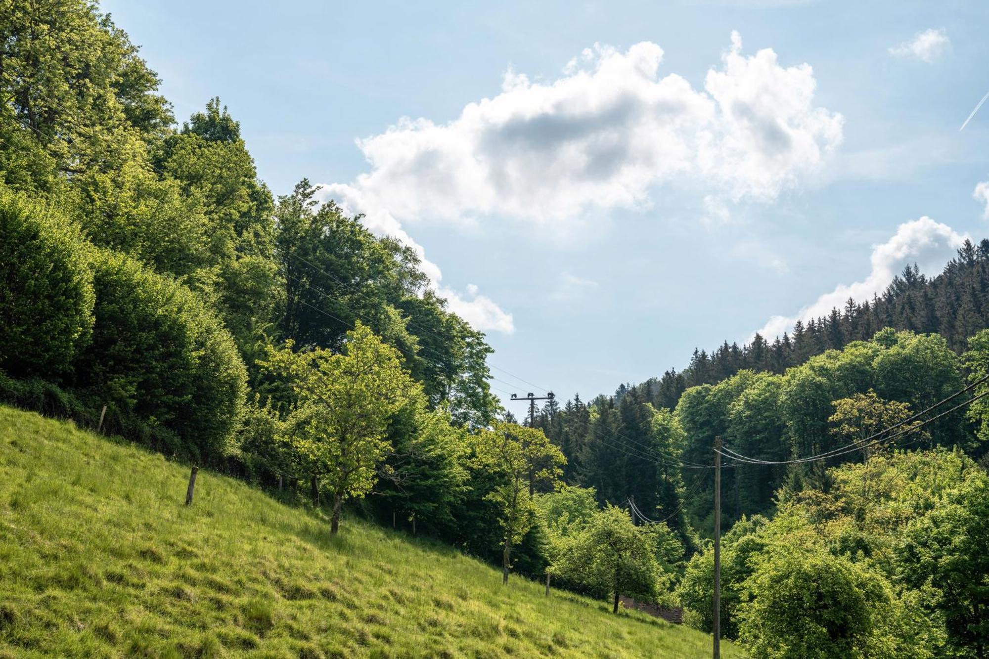 Gaestehaus Gerda Bad Peterstal-Griesbach Kültér fotó